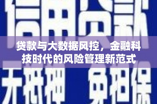 南海贷款与大数据风控，金融科技时代的风险管理新范式