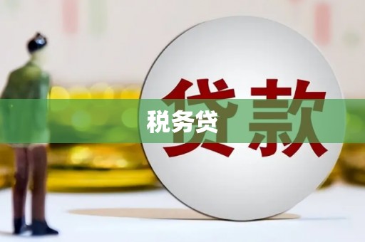 南海税务贷