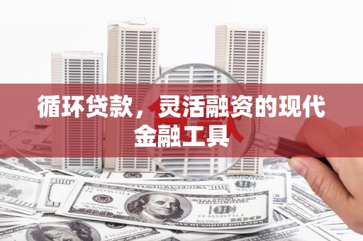 南海循环贷款，灵活融资的现代金融工具
