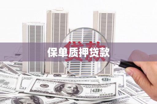 南海保单质押贷款
