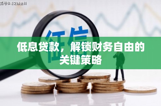 南海低息贷款，解锁财务自由的关键策略