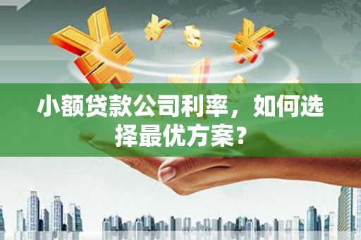 南海小额贷款公司利率，如何选择最优方案？