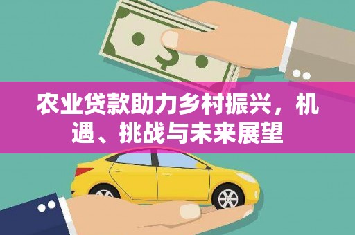南海农业贷款助力乡村振兴，机遇、挑战与未来展望