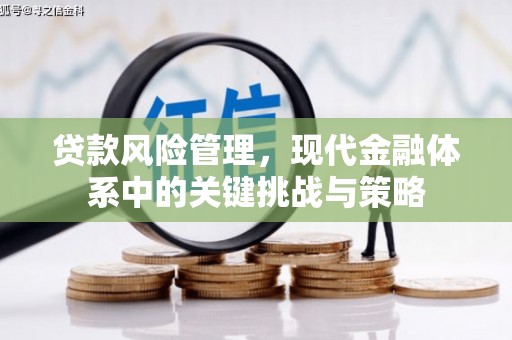 南海贷款风险管理，现代金融体系中的关键挑战与策略