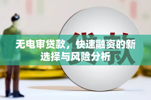 南海无电审贷款，快速融资的新选择与风险分析