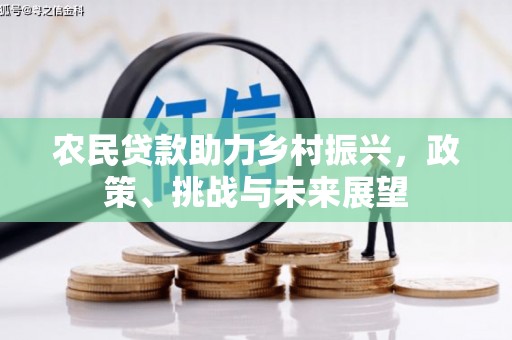 南海农民贷款助力乡村振兴，政策、挑战与未来展望