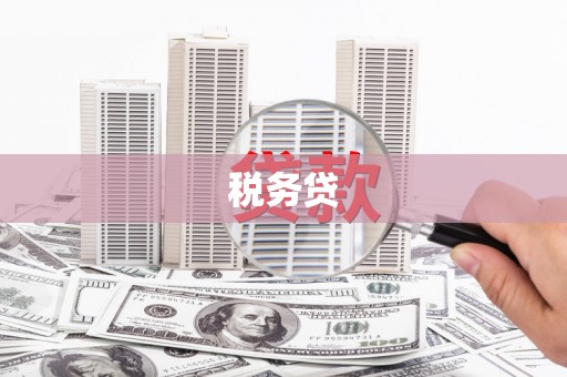 南海税务贷