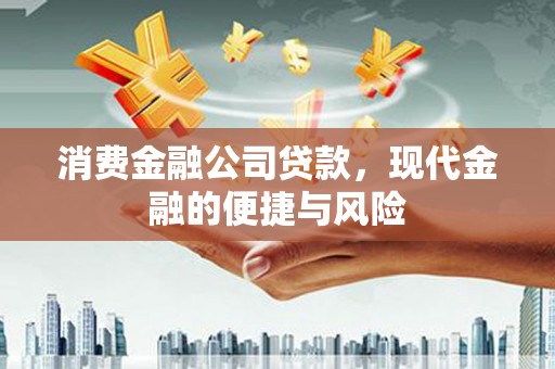 南海消费金融公司贷款，现代金融的便捷与风险