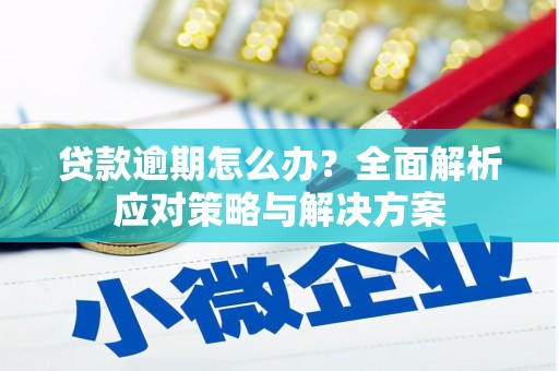 南海贷款逾期怎么办？全面解析应对策略与解决方案
