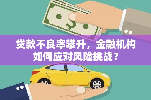 南海贷款不良率攀升，金融机构如何应对风险挑战？