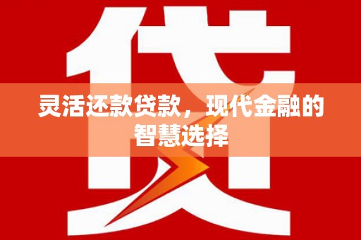 南海灵活还款贷款，现代金融的智慧选择