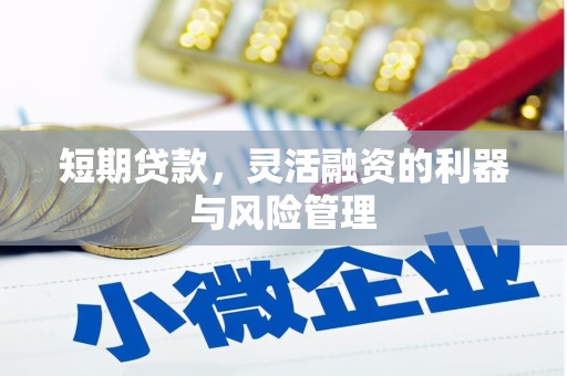 南海短期贷款，灵活融资的利器与风险管理