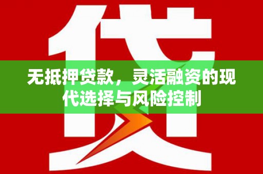 南海无抵押贷款，灵活融资的现代选择与风险控制