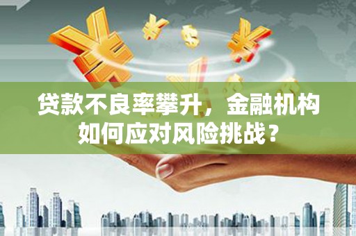 南海贷款不良率攀升，金融机构如何应对风险挑战？