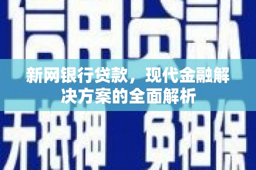 南海新网银行贷款，现代金融解决方案的全面解析
