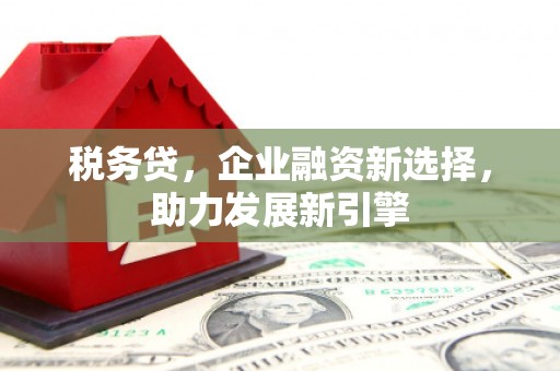 南海税务贷，企业融资新选择，助力发展新引擎