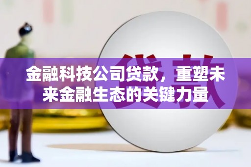南海金融科技公司贷款，重塑未来金融生态的关键力量