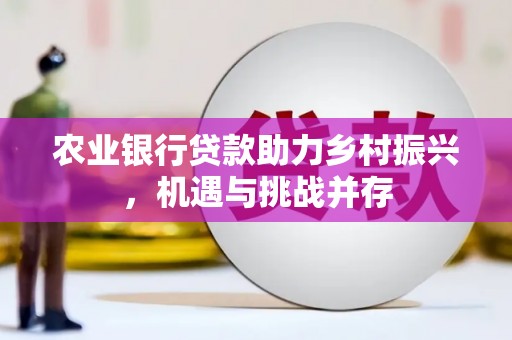 南海农业银行贷款助力乡村振兴，机遇与挑战并存