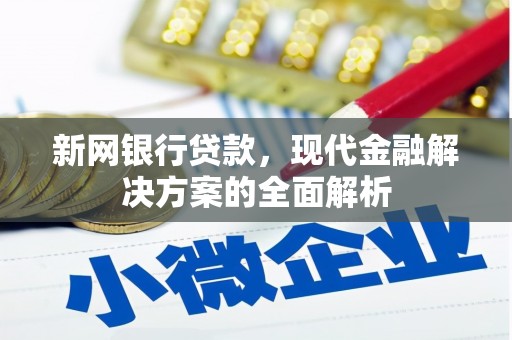 南海新网银行贷款，现代金融解决方案的全面解析
