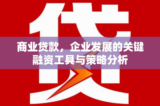 南海商业贷款，企业发展的关键融资工具与策略分析