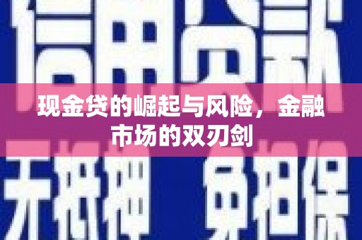南海现金贷的崛起与风险，金融市场的双刃剑