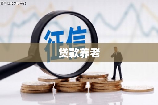 南海贷款养老