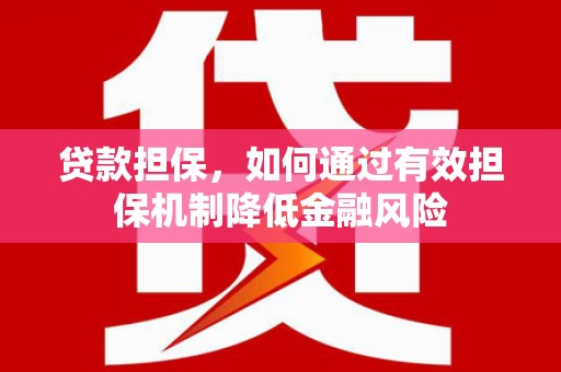 南海贷款担保，如何通过有效担保机制降低金融风险