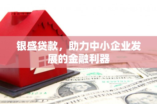 南海银盛贷款，助力中小企业发展的金融利器