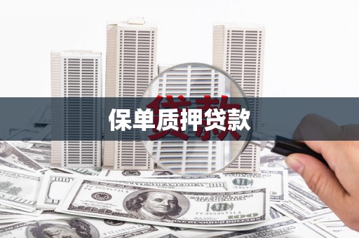 南海保单质押贷款