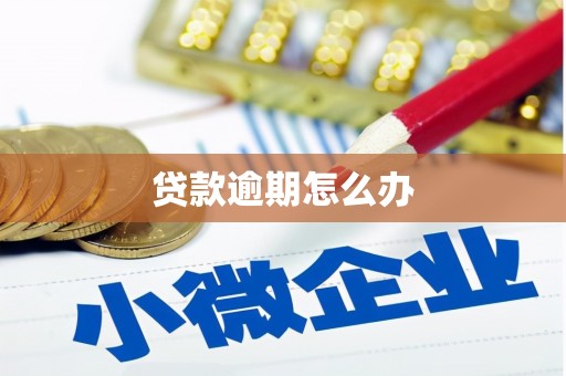 南海贷款逾期怎么办