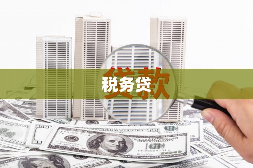 南海税务贷