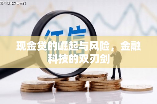 南海现金贷的崛起与风险，金融科技的双刃剑