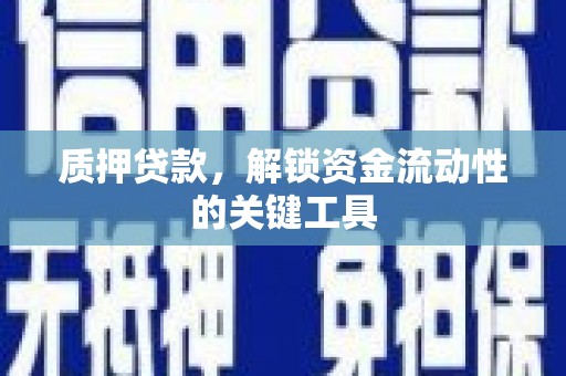 南海质押贷款，解锁资金流动性的关键工具