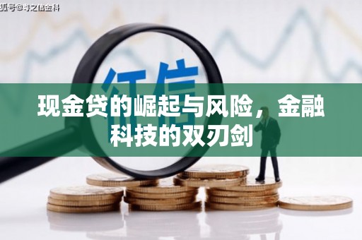 南海现金贷的崛起与风险，金融科技的双刃剑