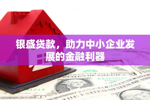南海银盛贷款，助力中小企业发展的金融利器