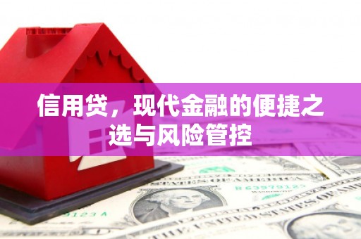 南海信用贷，现代金融的便捷之选与风险管控