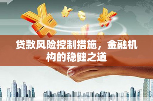 南海贷款风险控制措施，金融机构的稳健之道