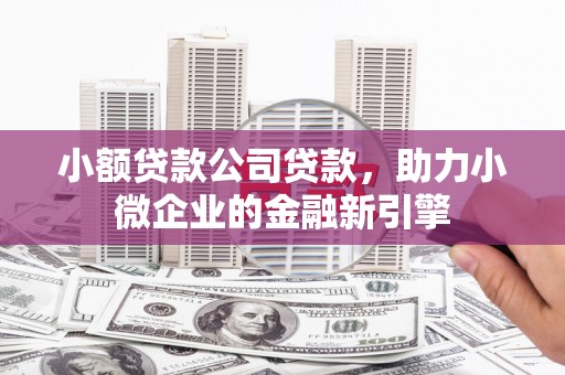 南海小额贷款公司贷款，助力小微企业的金融新引擎