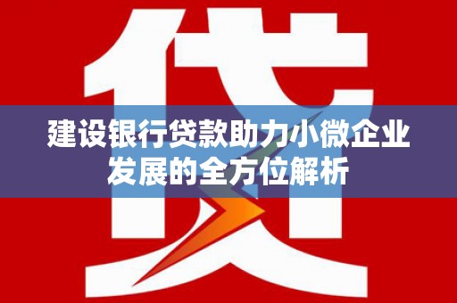 南海建设银行贷款助力小微企业发展的全方位解析
