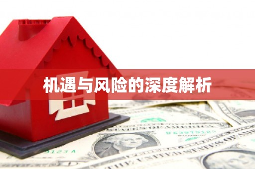 南海机遇与风险的深度解析