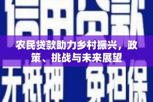 南海农民贷款助力乡村振兴，政策、挑战与未来展望