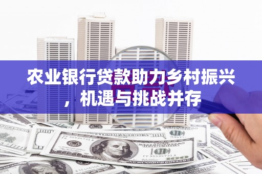 南海农业银行贷款助力乡村振兴，机遇与挑战并存