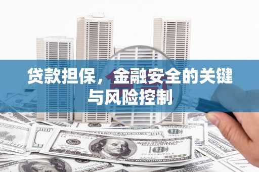 南海贷款担保，金融安全的关键与风险控制