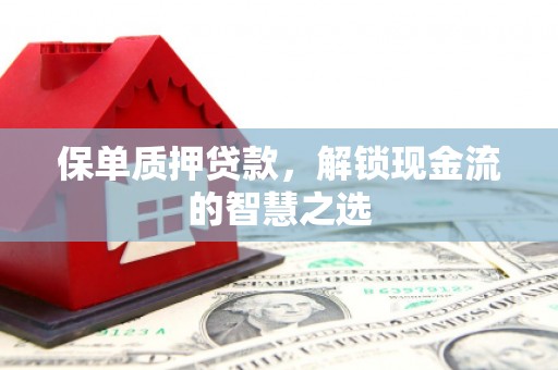 南海保单质押贷款，解锁现金流的智慧之选