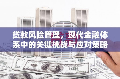 南海贷款风险管理，现代金融体系中的关键挑战与应对策略