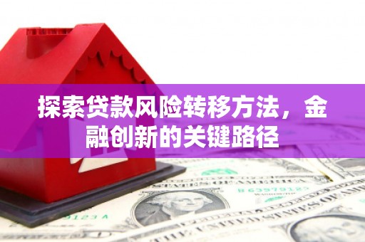 南海探索贷款风险转移方法，金融创新的关键路径
