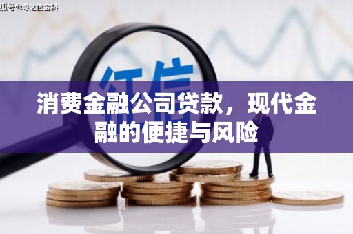 南海消费金融公司贷款，现代金融的便捷与风险