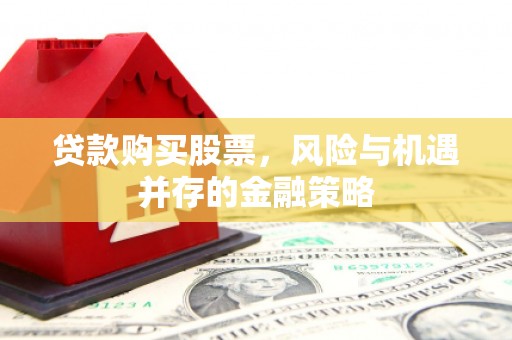 南海贷款购买股票，风险与机遇并存的金融策略