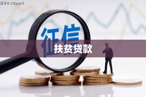 南海扶贫贷款