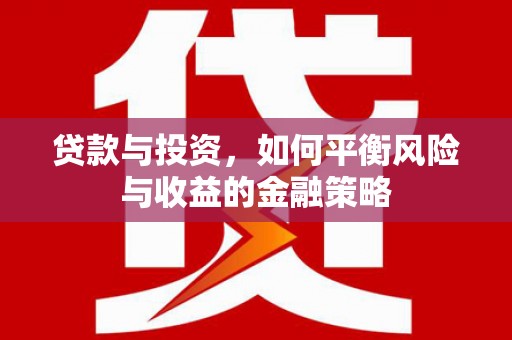 南海贷款与投资，如何平衡风险与收益的金融策略